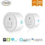 Smartwood 2 Pack Wifi Amazon Alexa Smart Home Plug Outlet Review