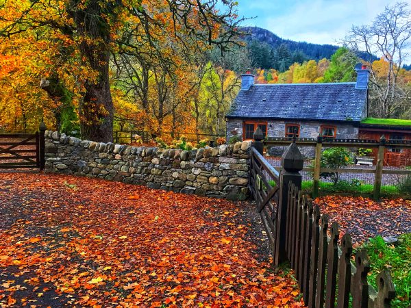 Invermoriston Fall Foliage and Falls in Inverness Scotland
