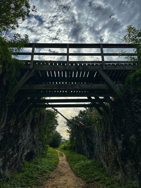 Mysterious Bridge on Bermuda's Railroad Trail